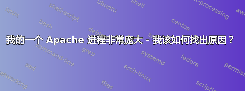 我的一个 Apache 进程非常庞大 - 我该如何找出原因？