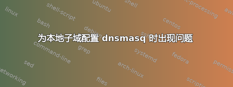 为本地子域配置 dnsmasq 时出现问题