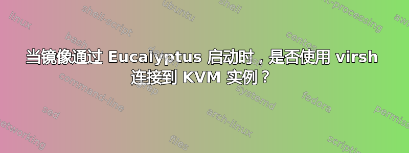 当镜像通过 Eucalyptus 启动时，是否使用 virsh 连接到 KVM 实例？