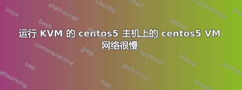 运行 KVM 的 centos5 主机上的 centos5 VM 网络很慢