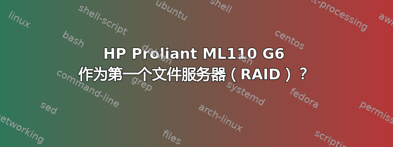 HP Proliant ML110 G6 作为第一个文件服务器（RAID）？