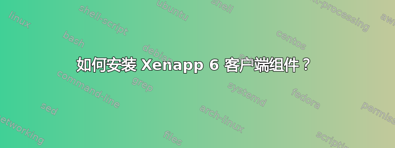 如何安装 Xenapp 6 客户端组件？