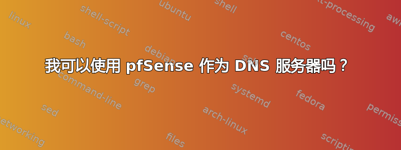 我可以使用 pfSense 作为 DNS 服务器吗？