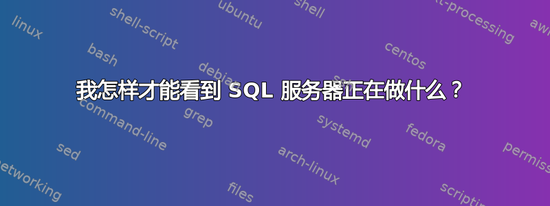 我怎样才能看到 SQL 服务器正在做什么？