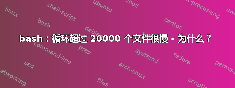 bash：循环超过 20000 个文件很慢 - 为什么？