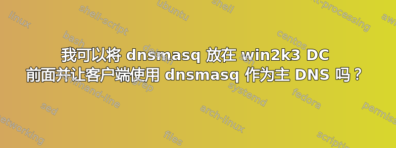 我可以将 dnsmasq 放在 win2k3 DC 前面并让客户端使用 dnsmasq 作为主 DNS 吗？