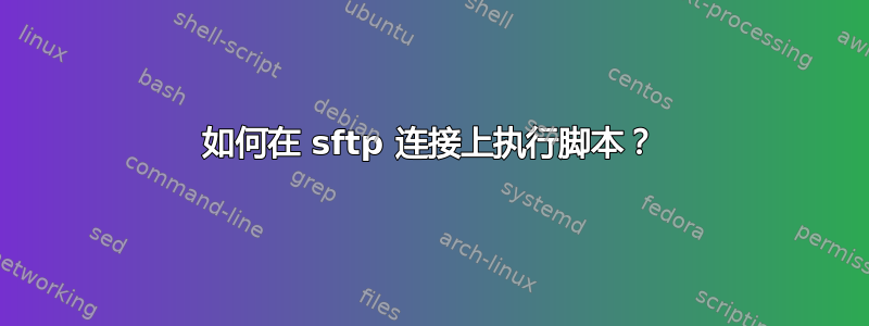 如何在 sftp 连接上执行脚本？