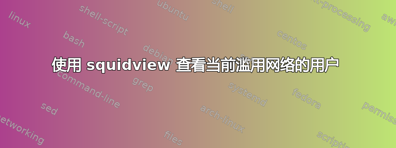 使用 squidview 查看当前滥用网络的用户