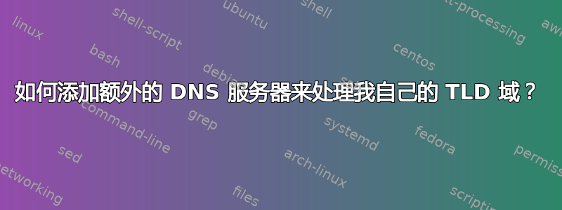 如何添加额外的 DNS 服务器来处理我自己的 TLD 域？