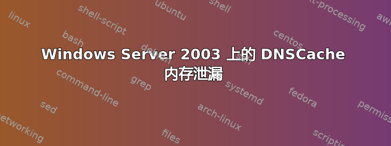 Windows Server 2003 上的 DNSCache 内存泄漏