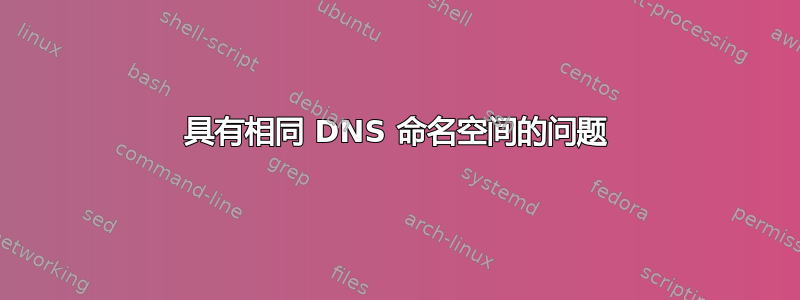 具有相同 DNS 命名空间的问题