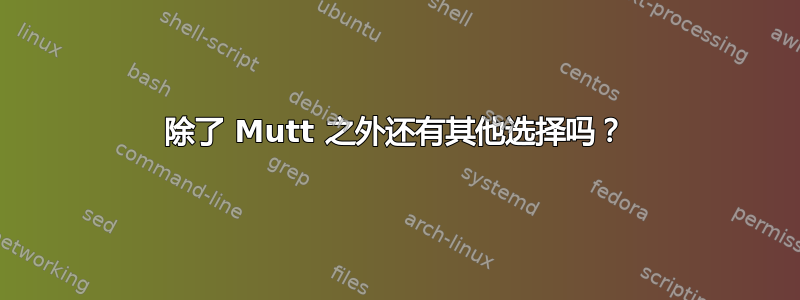 除了 Mutt 之外还有其他选择吗？