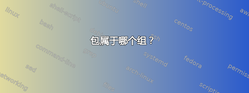 包属于哪个组？