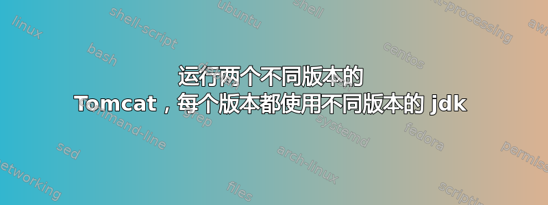 运行两个不同版本的 Tomcat，每个版本都使用不同版本的 jdk