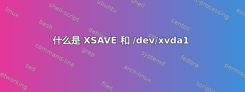 什么是 XSAVE 和 /dev/xvda1