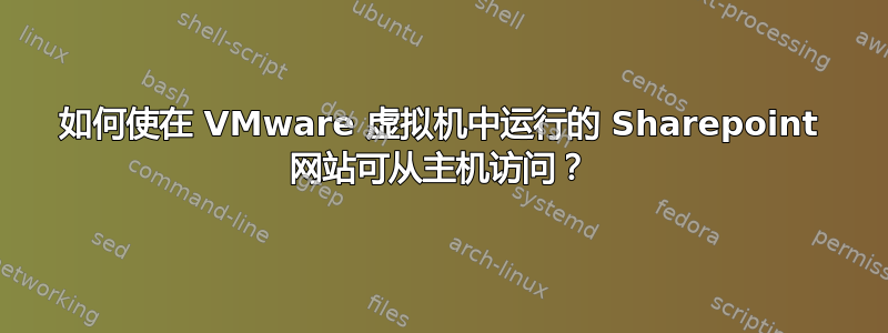 如何使在 VMware 虚拟机中运行的 Sharepoint 网站可从主机访问？