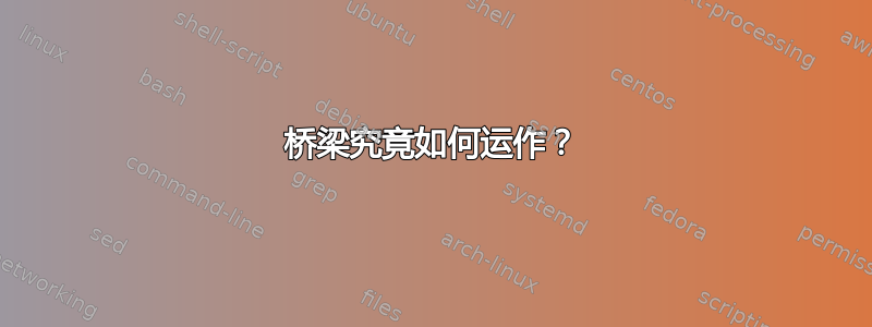 桥梁究竟如何运作？