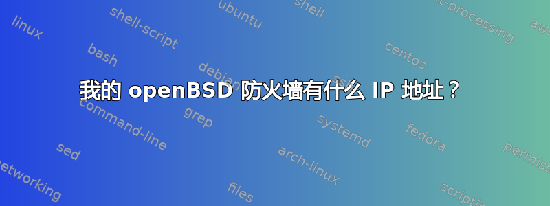 我的 openBSD 防火墙有什么 IP 地址？