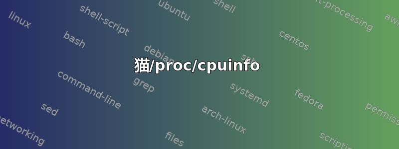 猫/proc/cpuinfo