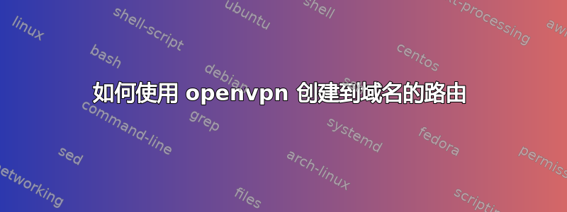 如何使用 openvpn 创建到域名的路由