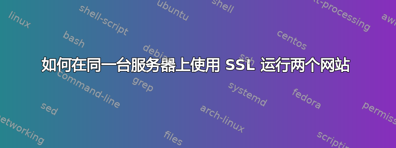 如何在同一台服务器上使用 SSL 运行两个网站