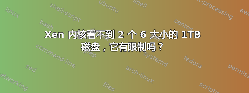 Xen 内核看不到 2 个 6 大小的 1TB 磁盘，它有限制吗？