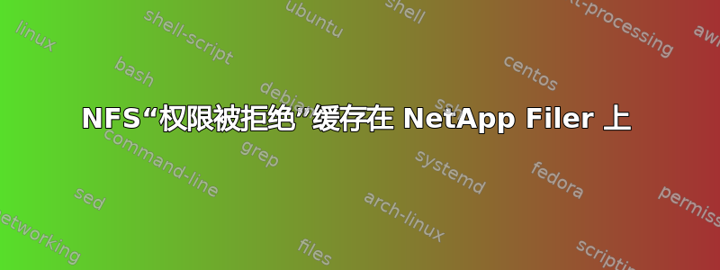 NFS“权限被拒绝”缓存在 NetApp Filer 上