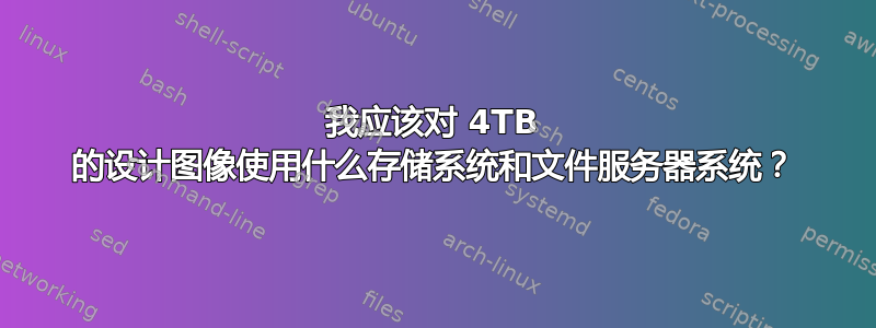 我应该对 4TB 的设计图像使用什么存储系统和文件服务器系统？