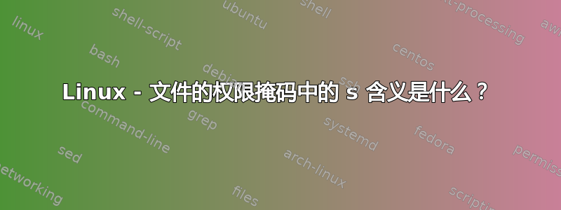 Linux - 文件的权限掩码中的 s 含义是什么？