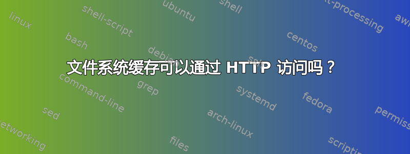 文件系统缓存可以通过 HTTP 访问吗？