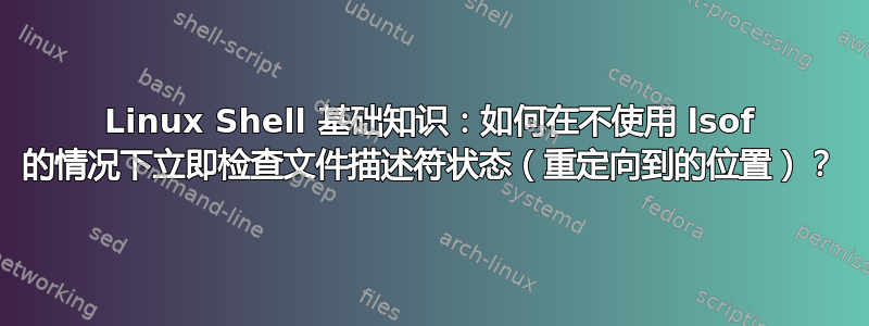 Linux Shell 基础知识：如何在不使用 lsof 的情况下立即检查文件描述符状态（重定向到的位置）？