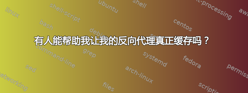 有人能帮助我让我的反向代理真正缓存吗？