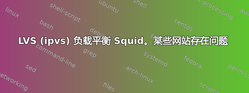 LVS (ipvs) 负载平衡 Squid。某些网站存在问题