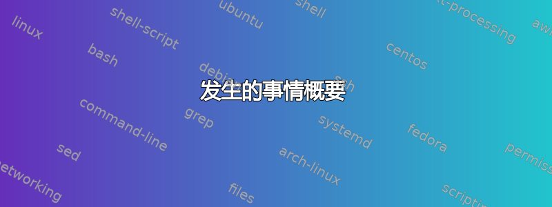 发生的事情概要