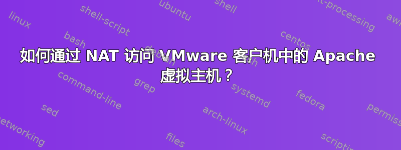 如何通过 NAT 访问 VMware 客户机中的 Apache 虚拟主机？