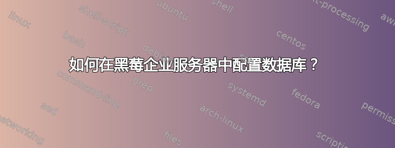 如何在黑莓企业服务器中配置数据库？