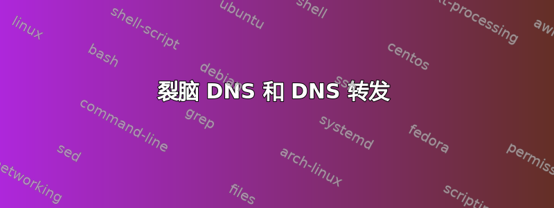 裂脑 DNS 和 DNS 转发