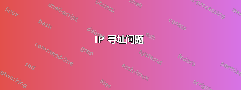 IP 寻址问题