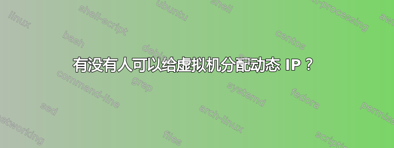 有没有人可以给虚拟机分配动态 IP？