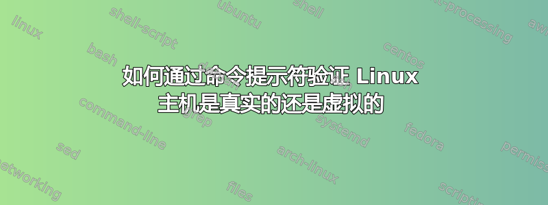 如何通过命令提示符验证 Linux 主机是真实的还是虚拟的