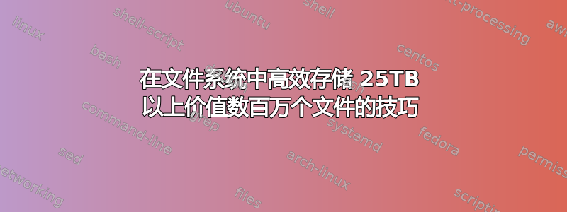 在文件系统中高效存储 25TB 以上价值数百万个文件的技巧