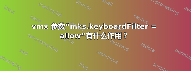 vmx 参数“mks.keyboardFilter = allow”有什么作用？