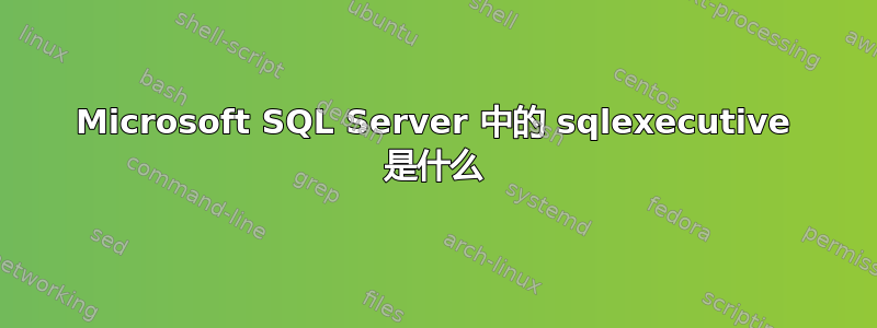 Microsoft SQL Server 中的 sqlexecutive 是什么