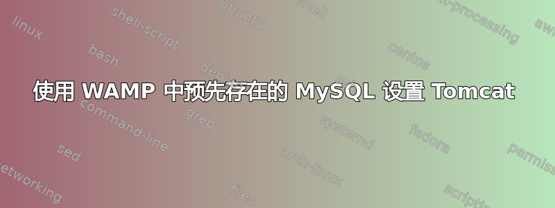 使用 WAMP 中预先存在的 MySQL 设置 Tomcat