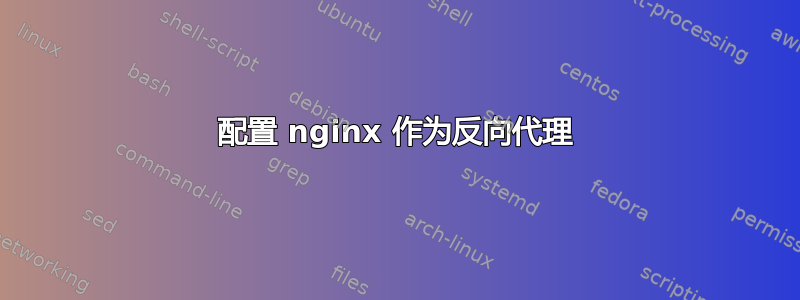 配置 nginx 作为反向代理