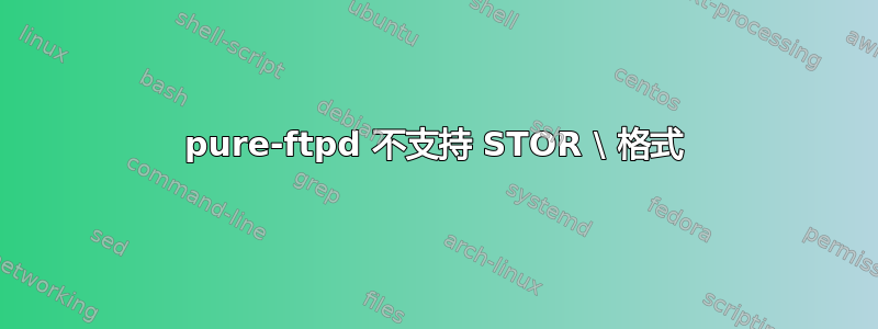 pure-ftpd 不支持 STOR \ 格式