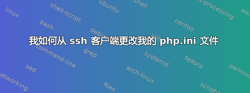 我如何从 ssh 客户端更改我的 php.ini 文件