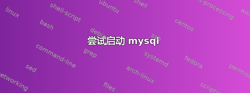 尝试启动 mysql