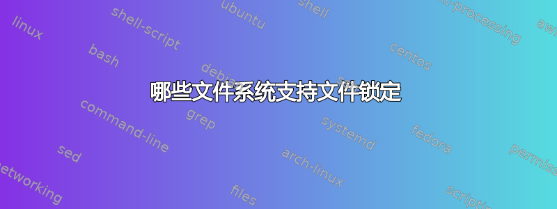 哪些文件系统支持文件锁定