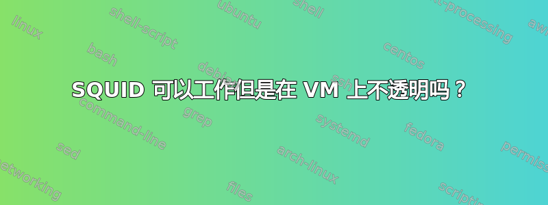 SQUID 可以工作但是在 VM 上不透明吗？